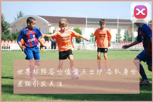 世界杯阵容价值盘点出炉 各队身价差距引发关注
