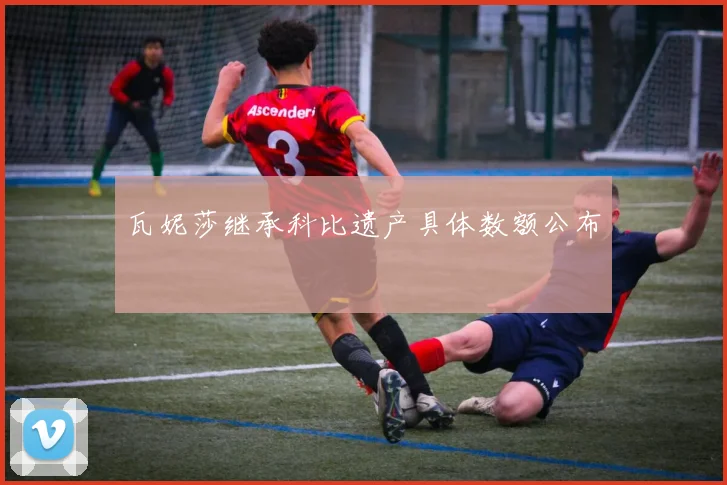 瓦妮莎继承科比遗产具体数额公布