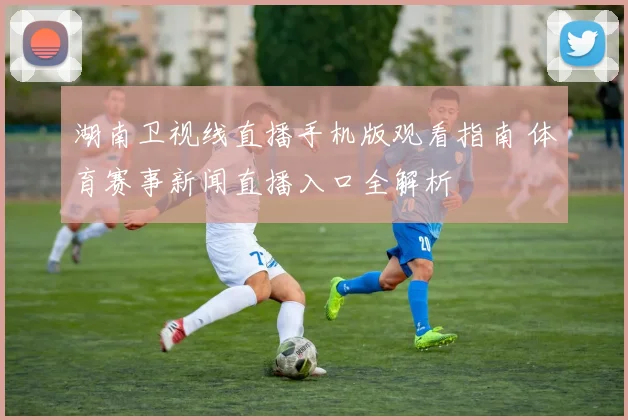 湖南卫视线直播手机版观看指南 体育赛事新闻直播入口全解析