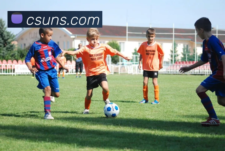 多媒体互动体验