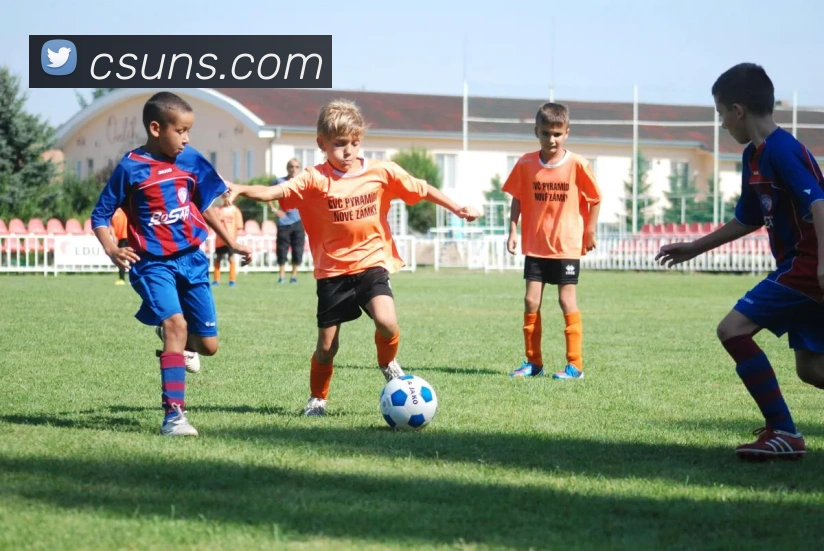 奖项图2